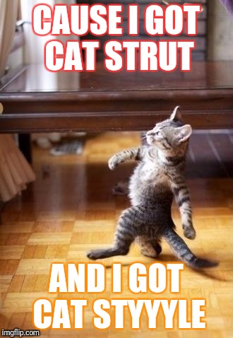 Cool Cat Stroll | CAUSE I GOT CAT STRUT; AND I GOT CAT STYYYLE | image tagged in memes,cool cat stroll | made w/ Imgflip meme maker