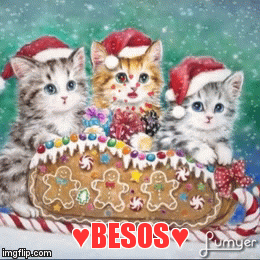 ♥Besos♥ | ♥BESOS♥ | image tagged in gifs | made w/ Imgflip video-to-gif maker