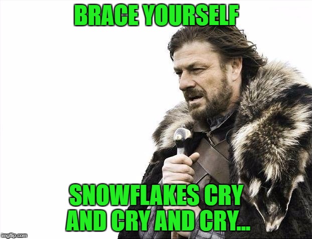 Brace Yourselves X is Coming Meme | BRACE YOURSELF SNOWFLAKES CRY AND CRY AND CRY... | image tagged in memes,brace yourselves x is coming | made w/ Imgflip meme maker