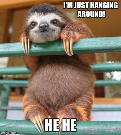 cute sloth | I'M JUST HANGING AROUND! HE HE | image tagged in cute sloth | made w/ Imgflip meme maker