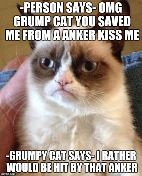 Grumpy Cat | -PERSON SAYS- OMG GRUMP CAT YOU SAVED ME FROM A ANKER KISS ME; -GRUMPY CAT SAYS- I RATHER WOULD BE HIT BY THAT ANKER | image tagged in memes,grumpy cat | made w/ Imgflip meme maker