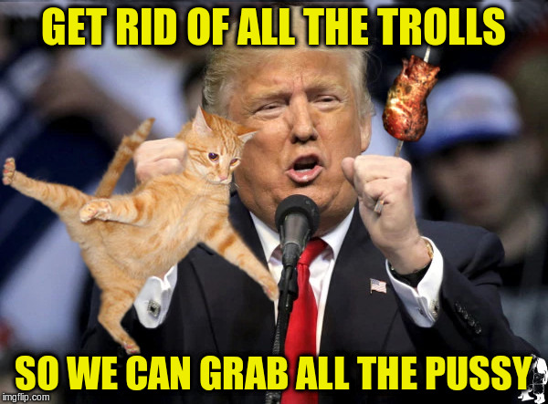 GET RID OF ALL THE TROLLS SO WE CAN GRAB ALL THE PUSSY | made w/ Imgflip meme maker
