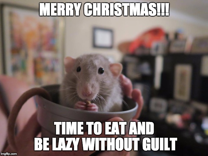 Cosmo, the Christmas Rat | MERRY CHRISTMAS!!! TIME TO EAT AND BE LAZY WITHOUT GUILT | image tagged in christmas | made w/ Imgflip meme maker