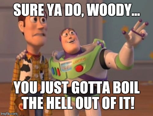 X, X Everywhere Meme | SURE YA DO, WOODY... YOU JUST GOTTA BOIL THE HELL OUT OF IT! | image tagged in memes,x x everywhere | made w/ Imgflip meme maker