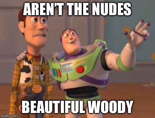 X, X Everywhere Meme | AREN’T THE NUDES; BEAUTIFUL WOODY | image tagged in memes,x x everywhere | made w/ Imgflip meme maker