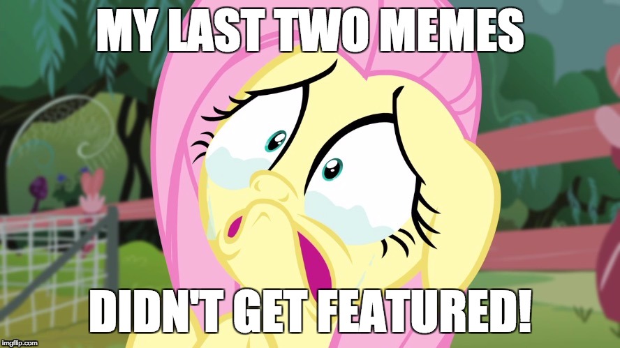 I don't know why this happens! | MY LAST TWO MEMES; DIDN'T GET FEATURED! | image tagged in crying fluttershy,memes,featured | made w/ Imgflip meme maker