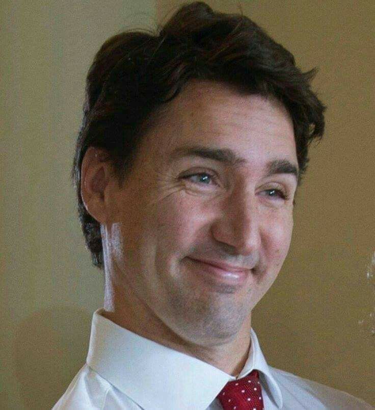 Dopey Trudeau Blank Meme Template