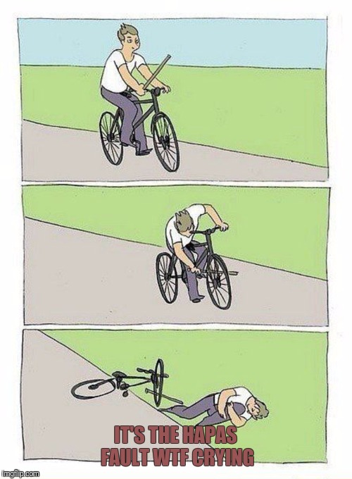 Bike Fall Meme | IT'S THE HAPAS FAULT WTF CRYING | image tagged in bike fall | made w/ Imgflip meme maker