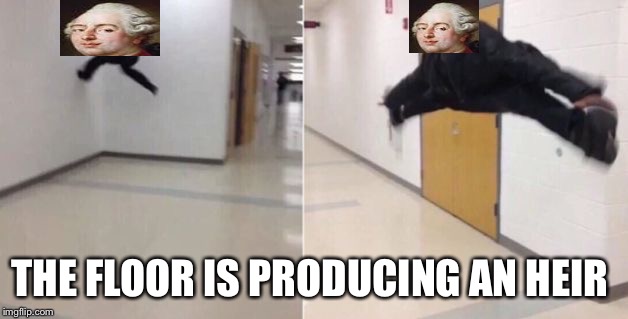 The floor is | THE FLOOR IS PRODUCING AN HEIR | image tagged in the floor is | made w/ Imgflip meme maker