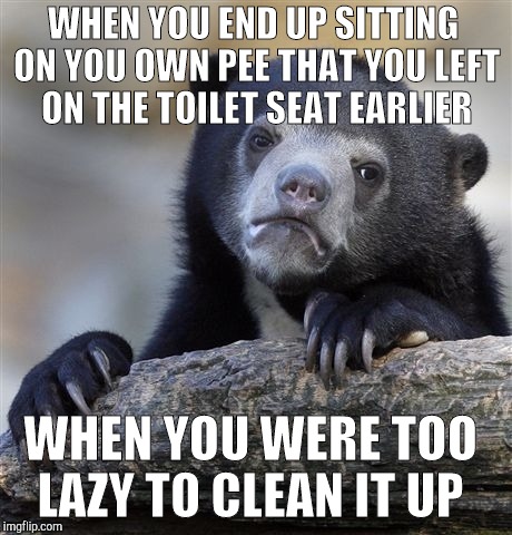 Confession Bear Meme | WHEN YOU END UP SITTING ON YOU OWN PEE THAT YOU LEFT ON THE TOILET SEAT EARLIER; WHEN YOU WERE TOO LAZY TO CLEAN IT UP | image tagged in memes,confession bear | made w/ Imgflip meme maker