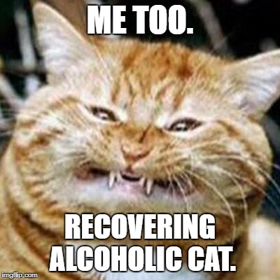 ME TOO. RECOVERING ALCOHOLIC CAT. | made w/ Imgflip meme maker