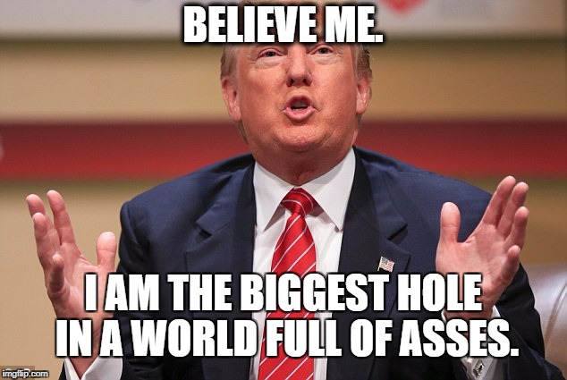 Donald Trump Huge | BELIEVE ME. I AM THE BIGGEST HOLE IN A WORLD FULL OF ASSES. | image tagged in donald trump huge | made w/ Imgflip meme maker