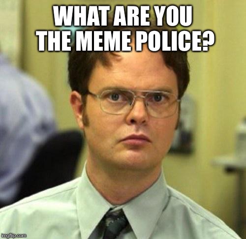 Watch out where you throw those comments man | WHAT ARE YOU THE MEME POLICE? | image tagged in false guy,i mean golly gosh darn folks,ya darn tootin howard | made w/ Imgflip meme maker