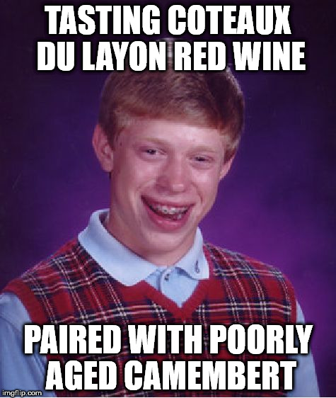 Bad Luck Brian Meme | TASTING COTEAUX DU LAYON RED WINE; PAIRED WITH POORLY AGED CAMEMBERT | image tagged in memes,bad luck brian | made w/ Imgflip meme maker