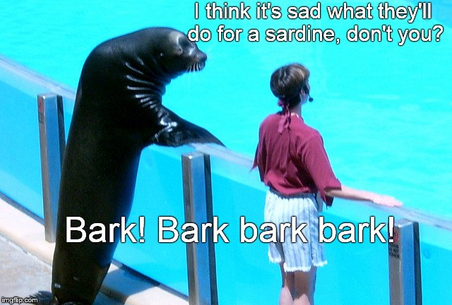 Seal gets the girl | I think it's sad what they'll do for a sardine, don't you? Bark! Bark bark bark! | image tagged in seal gets the girl | made w/ Imgflip meme maker