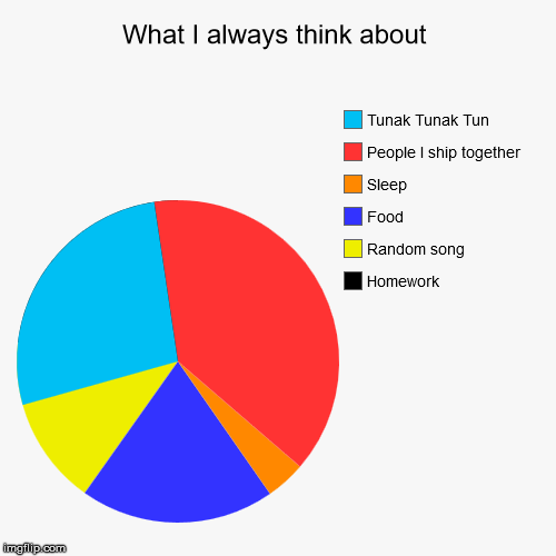 What I always think about | Homework , Random song , Food , Sleep, People I ship together, Tunak Tunak Tun | image tagged in funny,pie charts | made w/ Imgflip chart maker