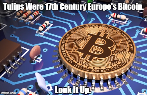 Tulips Were 17th Century Europe's Bitcoin. Look It Up. | made w/ Imgflip meme maker
