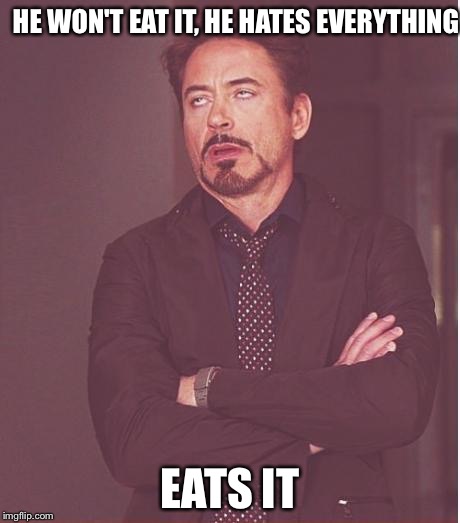 Face You Make Robert Downey Jr Meme | HE WON'T EAT IT, HE HATES EVERYTHING EATS IT | image tagged in memes,face you make robert downey jr | made w/ Imgflip meme maker