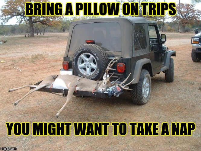 BRING A PILLOW ON TRIPS; YOU MIGHT WANT TO TAKE A NAP | made w/ Imgflip meme maker