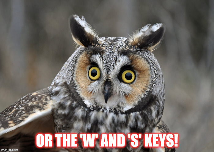 OR THE 'W' AND 'S' KEYS! | made w/ Imgflip meme maker