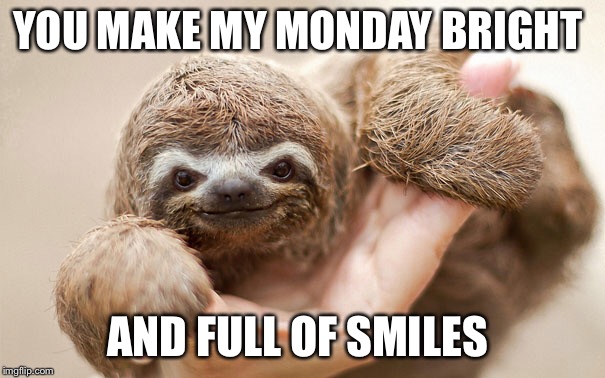 I saw something about happy memes earlier. Is this a thing? Here’s one anyway :) | YOU MAKE MY MONDAY BRIGHT; AND FULL OF SMILES | image tagged in memes,cute,baby,sloth,monday,smile | made w/ Imgflip meme maker