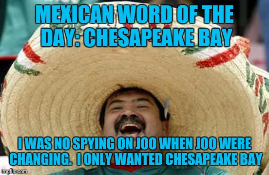 Let Me Esplain | MEXICAN WORD OF THE DAY: CHESAPEAKE BAY; I WAS NO SPYING ON JOO WHEN JOO WERE CHANGING.  I ONLY WANTED CHESAPEAKE BAY | image tagged in happy mexican,mexican word of the day,funny | made w/ Imgflip meme maker