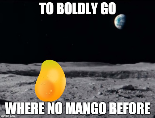 A late night meme (>‿◠) | TO BOLDLY GO; WHERE NO MANGO BEFORE | image tagged in memes,mango,mango on the moon,star trek,star wars vs star trek | made w/ Imgflip meme maker