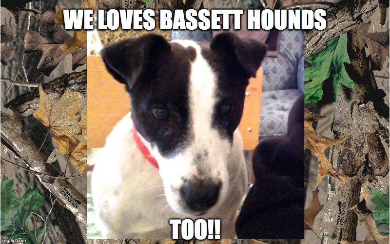 WE LOVES BASSETT HOUNDS TOO!! | made w/ Imgflip meme maker