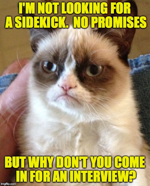 Grumpy Cat Meme | I'M NOT LOOKING FOR A SIDEKICK.  NO PROMISES BUT WHY DON'T YOU COME IN FOR AN INTERVIEW? | image tagged in memes,grumpy cat | made w/ Imgflip meme maker