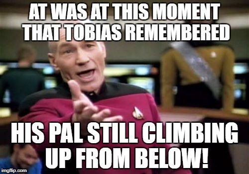 Picard Wtf Meme | AT WAS AT THIS MOMENT THAT TOBIAS REMEMBERED HIS PAL STILL CLIMBING UP FROM BELOW! | image tagged in memes,picard wtf | made w/ Imgflip meme maker
