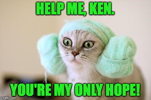 HELP ME, KEN. YOU'RE MY ONLY HOPE! | made w/ Imgflip meme maker