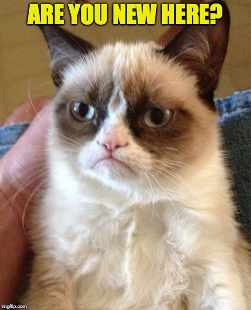 Grumpy Cat Meme | ARE YOU NEW HERE? | image tagged in memes,grumpy cat | made w/ Imgflip meme maker