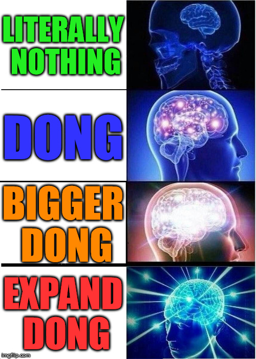 Expanding Brain | LITERALLY NOTHING; DONG; BIGGER DONG; EXPAND DONG | image tagged in memes,expanding brain | made w/ Imgflip meme maker