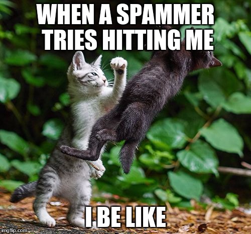 Mortal Kombat | WHEN A SPAMMER TRIES HITTING ME; I BE LIKE | image tagged in mortal kombat | made w/ Imgflip meme maker