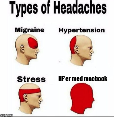 Types of Headaches meme | HF'er med macbook | image tagged in types of headaches meme | made w/ Imgflip meme maker