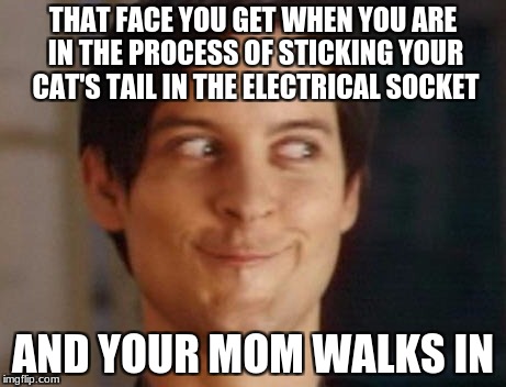 Spiderman Peter Parker | THAT FACE YOU GET WHEN YOU ARE IN THE PROCESS OF STICKING YOUR CAT'S TAIL IN THE ELECTRICAL SOCKET; AND YOUR MOM WALKS IN | image tagged in memes,spiderman peter parker | made w/ Imgflip meme maker