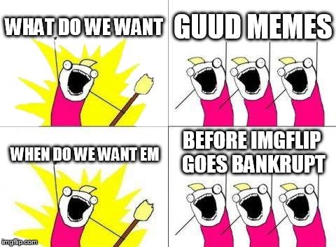 What Do We Want | WHAT DO WE WANT; GUUD MEMES; BEFORE IMGFLIP GOES BANKRUPT; WHEN DO WE WANT EM | image tagged in memes,what do we want | made w/ Imgflip meme maker