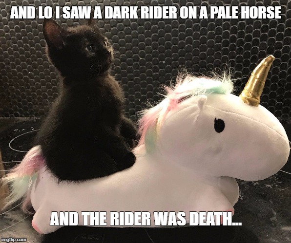 AND LO I SAW A DARK RIDER ON A PALE HORSE; AND THE RIDER WAS DEATH... | image tagged in end of times | made w/ Imgflip meme maker