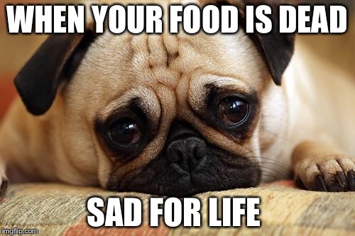 sad pug | WHEN YOUR FOOD IS DEAD; SAD FOR LIFE | image tagged in sad pug | made w/ Imgflip meme maker
