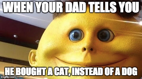 A family with different favorite pets |  WHEN YOUR DAD TELLS YOU; HE BOUGHT A CAT, INSTEAD OF A DOG | image tagged in memes,triggered | made w/ Imgflip meme maker