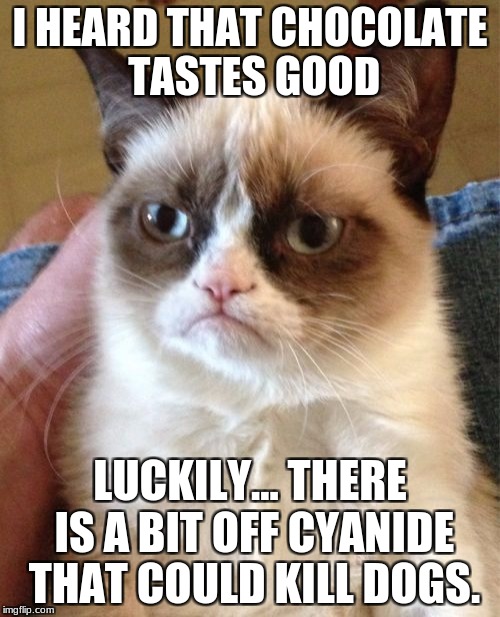 Grumpy Cat Meme | I HEARD THAT CHOCOLATE TASTES GOOD; LUCKILY... THERE IS A BIT OFF CYANIDE THAT COULD KILL DOGS. | image tagged in memes,grumpy cat | made w/ Imgflip meme maker