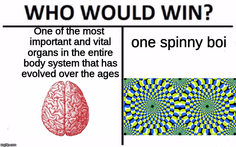 Who Would Win? | one spinny boi; One of the most important and vital organs in the entire body system that has evolved over the ages | image tagged in who would win | made w/ Imgflip meme maker