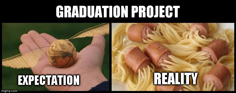 GRADUATION PROJECT; EXPECTATION; REALITY | image tagged in expectation quidditch | made w/ Imgflip meme maker