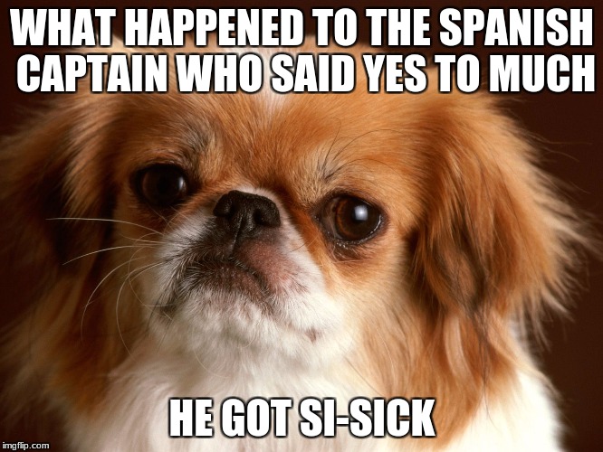 WHAT HAPPENED TO THE SPANISH CAPTAIN WHO SAID YES TO MUCH; HE GOT SI-SICK | image tagged in memes | made w/ Imgflip meme maker