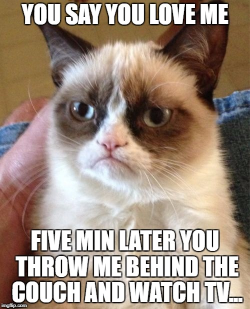 Grumpy Cat Meme | YOU SAY YOU LOVE ME; FIVE MIN LATER YOU THROW ME BEHIND THE COUCH AND WATCH TV... | image tagged in memes,grumpy cat | made w/ Imgflip meme maker