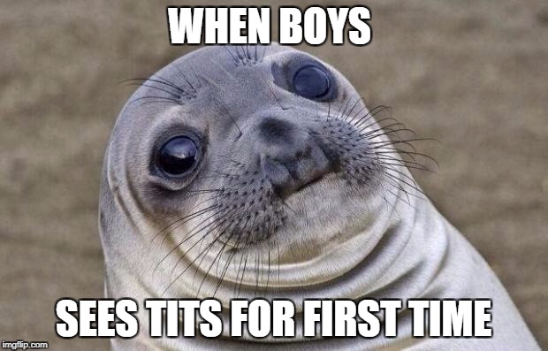 Awkward Moment Sealion | WHEN BOYS; SEES TITS FOR FIRST TIME | image tagged in memes,awkward moment sealion | made w/ Imgflip meme maker