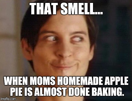 Spiderman Peter Parker | THAT SMELL... WHEN MOMS HOMEMADE APPLE PIE IS ALMOST DONE BAKING. | image tagged in memes,spiderman peter parker | made w/ Imgflip meme maker