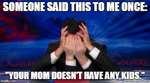 stephen colbert face palms |  SOMEONE SAID THIS TO ME ONCE:; "YOUR MOM DOESN'T HAVE ANY KIDS." | image tagged in stephen colbert face palms | made w/ Imgflip meme maker