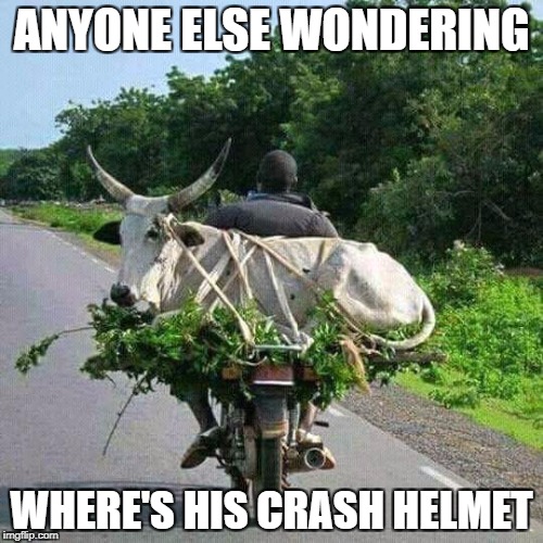 ANYONE ELSE WONDERING; WHERE'S HIS CRASH HELMET | image tagged in where | made w/ Imgflip meme maker