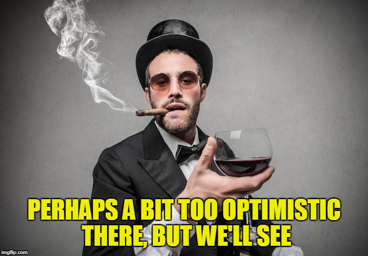PERHAPS A BIT TOO OPTIMISTIC THERE, BUT WE'LL SEE | made w/ Imgflip meme maker
